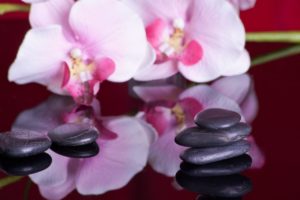 Massages Actitud Zen